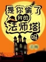 《是你偷了我的法师塔吗？》小说封面