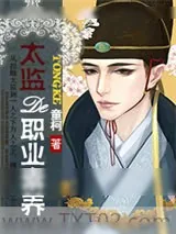 《太监的职业素养》小说封面