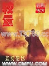 《较量》小说封面