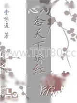 《心念天下醉红颜》小说封面