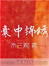 《囊中锦绣》小说封面