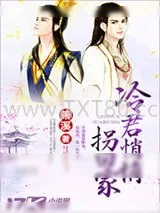 《冷君悄悄拐回家》小说封面