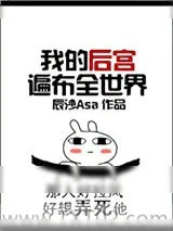 《我的后宫遍布全世界》小说封面