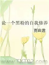 《论一个黑粉的自我修养》小说封面