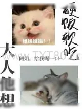《大人他想硬饭软吃》小说封面
