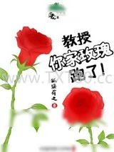 《教授，你家玫瑰跑了》小说封面