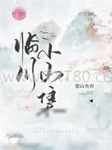 《临川小山集》小说封面