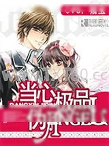 《当心极品伪Angel》小说封面