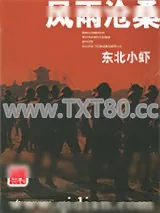 《风雨沧桑》小说封面