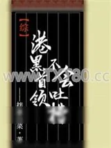 《织田首领不会吐槽》小说封面