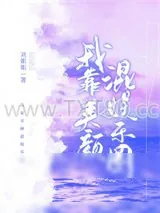 《风行天下》小说封面