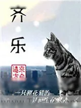 《齐乐》小说封面