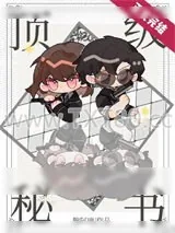 《顶级秘书》小说封面