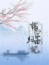 《将军归田记》小说封面