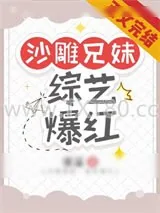 《沙雕兄妹，综艺爆红》小说封面