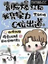 《选秀》小说封面