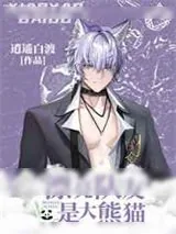 《漂亮队友是大熊猫》小说封面
