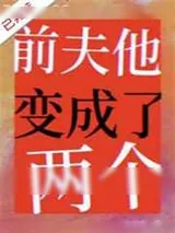 《前夫他变成了两个》小说封面
