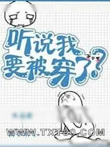《听说我要被穿了》小说封面