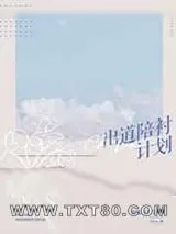 《出道陪衬计划》小说封面