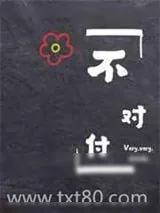 《不对付》小说封面