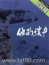《他的遗产》小说封面