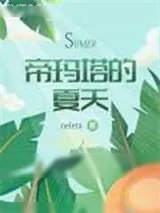 《帝玛塔的夏天》小说封面