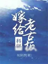 《嫁给科研老古板》小说封面