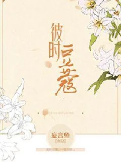 《彼时豆蔻》小说封面