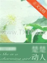 《奈何她楚楚动人》小说封面