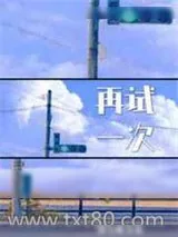 《再试一次》小说封面