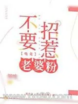 《不要招惹老婆粉》小说封面