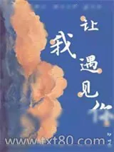 《让我遇见你》小说封面