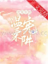 《沈先生的温柔宪阱》小说封面