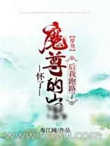 《怀了魔尊的崽后我跑路了[穿书]》小说封面