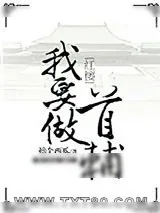 《[红楼]我要做首辅》小说封面