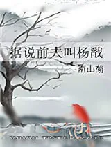 《据说前夫叫杨戬》小说封面