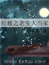 《红楼之老实人当家》小说封面