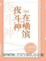 《夜斗神在横滨》小说封面