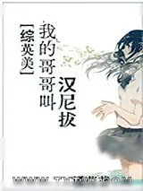 《[综英美]我哥哥叫汉尼拔》小说封面
