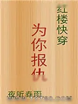 《[红楼快穿]为你报仇》小说封面