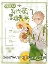 《绿茶攻穿成豪门恶毒男妻》小说封面