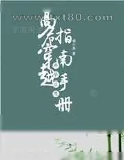 《高危穿越指南手册》小说封面