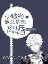《小狼狗他总是想离婚》小说封面