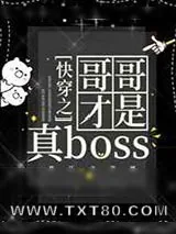 《[综]快穿之哥哥才是真boss》小说封面