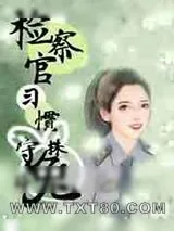 《检察官习惯守株待兔》小说封面