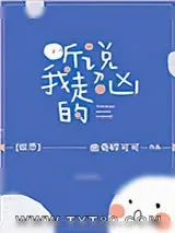 《盒》小说封面