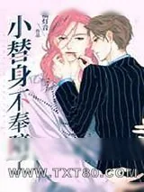 《小替身不奉陪了》小说封面