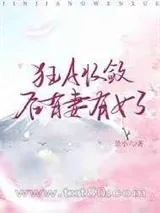 《深度隐藏》小说封面