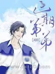 《过期弟弟》小说封面